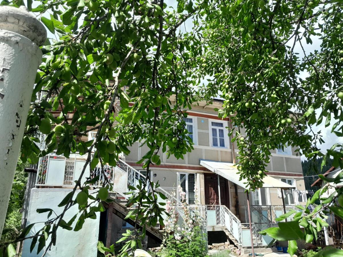 Armazi Hotel Khulo Exterior foto
