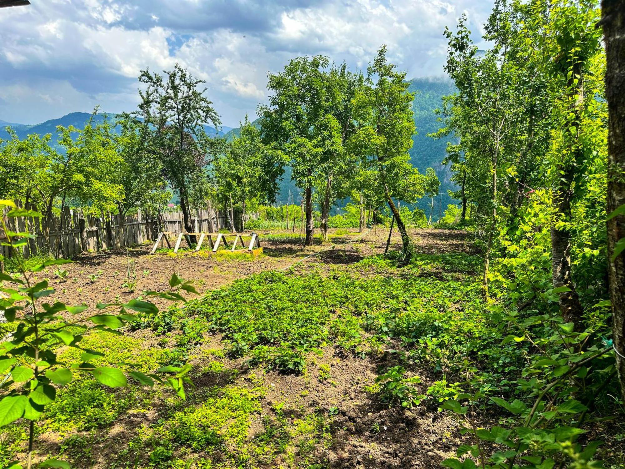 Armazi Hotel Khulo Exterior foto